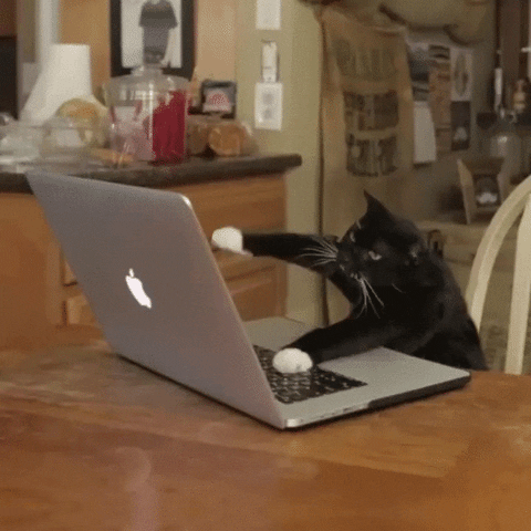 Cat keyboard