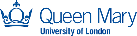Logo 13